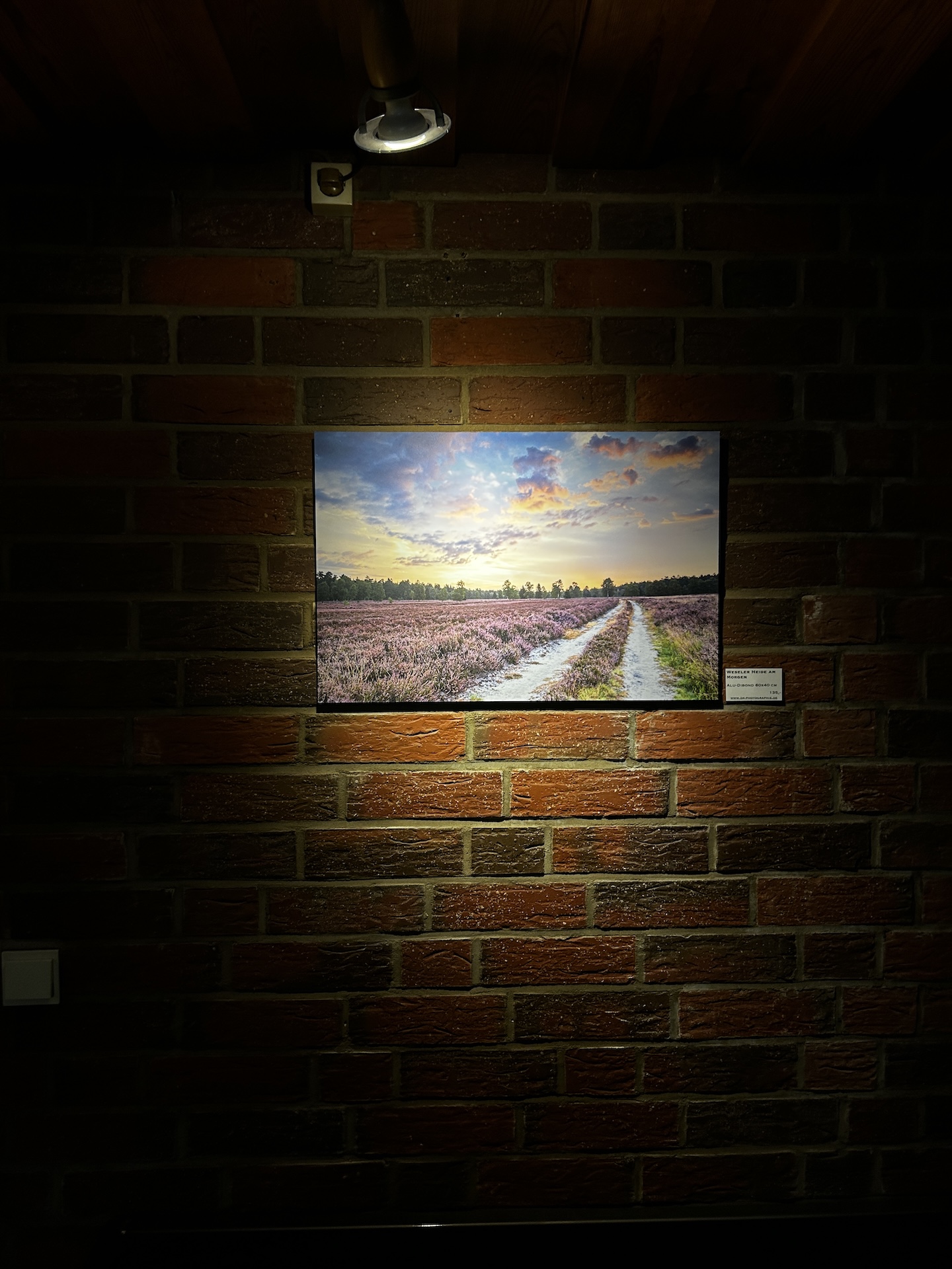 Bild einer blühenden Heidelandschaft an einer Wand mit Beleuchtung von oben