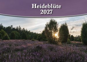 Kalender 2027 Lüneburger Heide – Fotokalender DIN A3 | Heideblüte