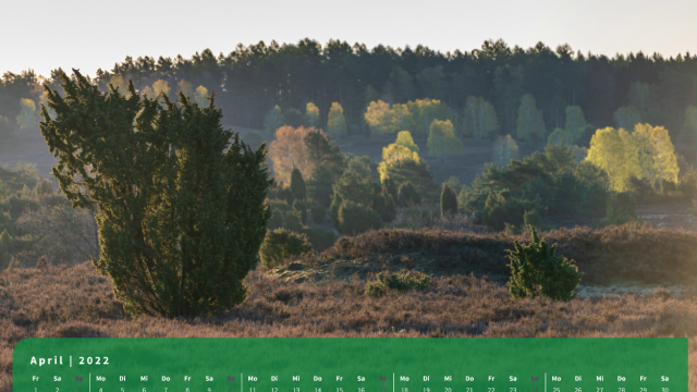 Monatsbild April des Kalenders "5 Jahreszeiten der Heide" Monatsbild April des Kalenders "5 Jahreszeiten der Heide"