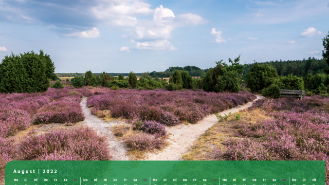 Monatsbild August des Kalenders "5 Jahreszeiten der Heide" Monatsbild August des Kalenders "5 Jahreszeiten der Heide"