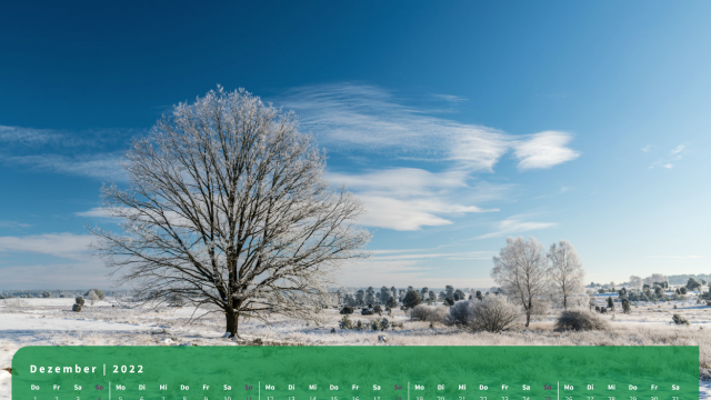 Monatsbild Dezember des Kalenders "5 Jahreszeiten der Heide" Monatsbild Dezember des Kalenders "5 Jahreszeiten der Heide"
