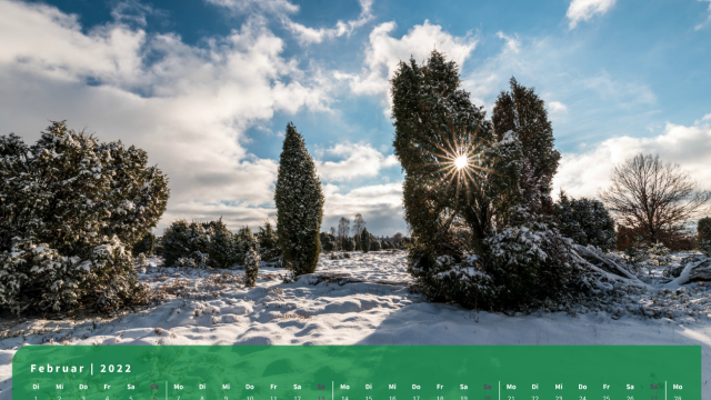 Monatsbild Februar des Kalenders "5 Jahreszeiten der Heide" Monatsbild Februar des Kalenders "5 Jahreszeiten der Heide"