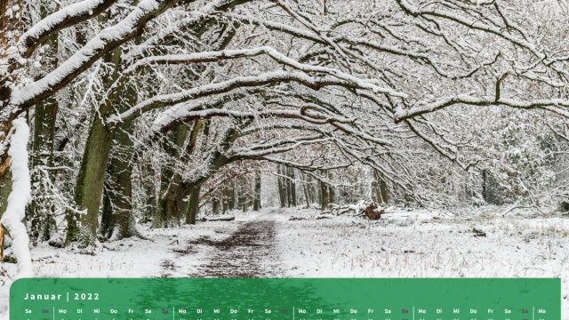 Monatsbild Januar des Kalenders "5 Jahreszeiten der Heide" Monatsbild Januar des Kalenders "5 Jahreszeiten der Heide"