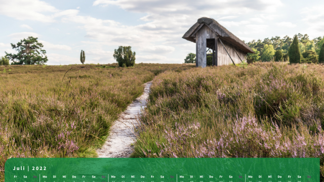 Monatsbild Juli des Kalenders "5 Jahreszeiten der Heide" Monatsbild Juli des Kalenders "5 Jahreszeiten der Heide"