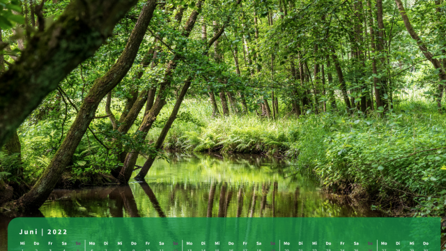 Monatsbild Juni des Kalenders "5 Jahreszeiten der Heide" Monatsbild Juni des Kalenders "5 Jahreszeiten der Heide"