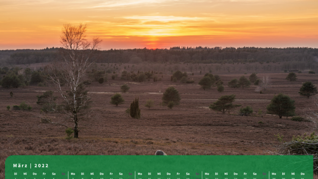 Monatsbild März des Kalenders "5 Jahreszeiten der Heide" Monatsbild März des Kalenders "5 Jahreszeiten der Heide"