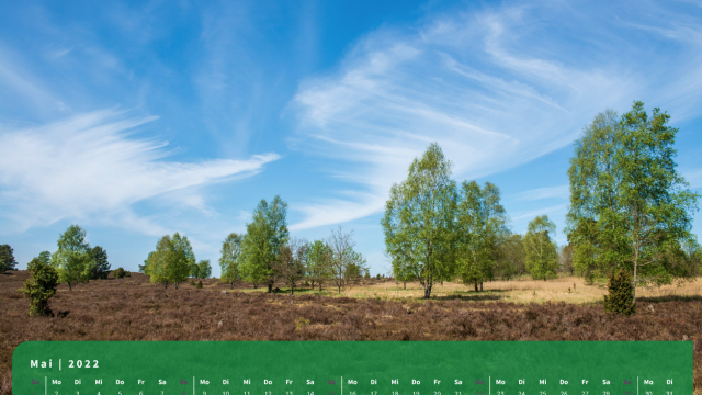 Monatsbild Mai des Kalenders "5 Jahreszeiten der Heide" Monatsbild Mai des Kalenders "5 Jahreszeiten der Heide"