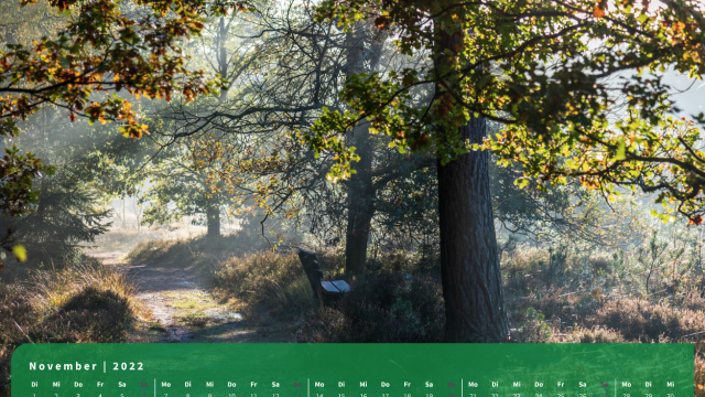 Monatsbild November des Kalenders "5 Jahreszeiten der Heide" Monatsbild November des Kalenders "5 Jahreszeiten der Heide"