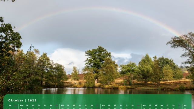 Monatsbild Oktober des Kalenders "5 Jahreszeiten der Heide" Monatsbild Oktober des Kalenders "5 Jahreszeiten der Heide"