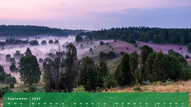 Monatsbild September des Kalenders "5 Jahreszeiten der Heide" Monatsbild September des Kalenders "5 Jahreszeiten der Heide"