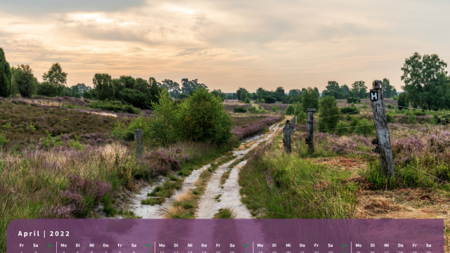 Monatsbild April des Kalenders "Heideblüte" Monatsbild April des Kalenders "Heideblüte"