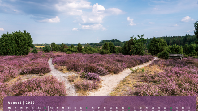 Monatsbild August des Kalenders "Heideblüte" Monatsbild August des Kalenders "Heideblüte"
