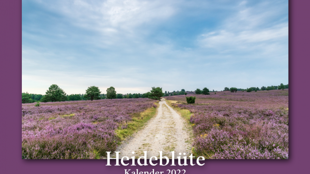 Titelbild des Kalenders "Heideblüte" Titelbild des Kalenders "Heideblüte"