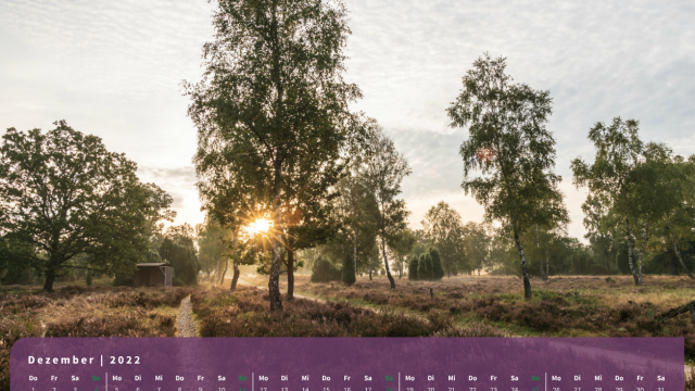 Monatsbild Dezember des Kalenders "Heideblüte" Monatsbild Dezember des Kalenders "Heideblüte"