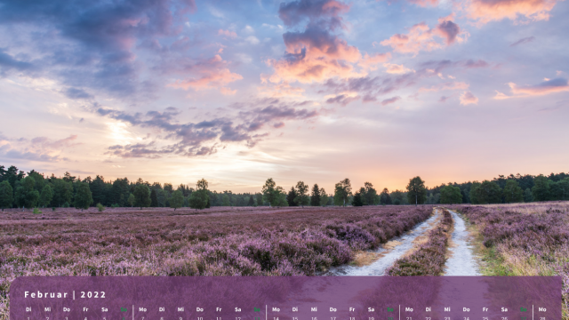 Monatsbild Februar des Kalenders "Heideblüte" Monatsbild Februar des Kalenders "Heideblüte"
