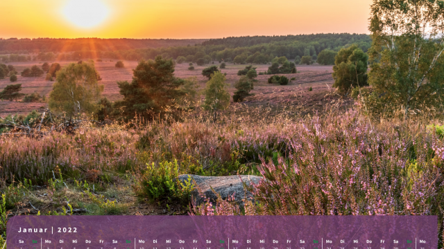 Monatsbild Januar des Kalenders "Heideblüte" Monatsbild Januar des Kalenders "Heideblüte"