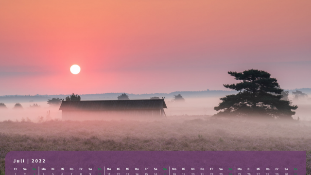 Monatsbild Juli des Kalenders "Heideblüte" Monatsbild Juli des Kalenders "Heideblüte"