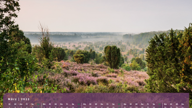 Monatsbild März des Kalenders "Heideblüte" Monatsbild März des Kalenders "Heideblüte"