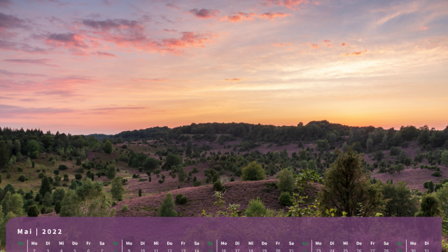 Monatsbild Mai des Kalenders "Heideblüte" Monatsbild Mai des Kalenders "Heideblüte"