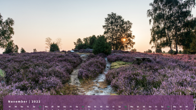 Monatsbild November des Kalenders "Heideblüte" Monatsbild November des Kalenders "Heideblüte"