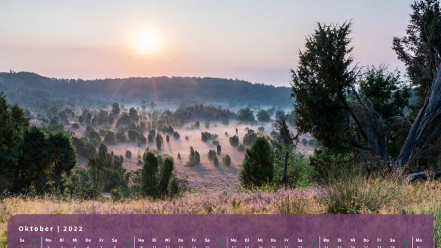 Monatsbild Oktober des Kalenders "Heideblüte" Monatsbild Oktober des Kalenders "Heideblüte"