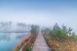 Platz 14 - Stille im Moor
(58 Punkte)